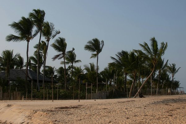 Aventure en Solo : Le Manuel Essentiel pour Survivre et S'épanouir en Voyage